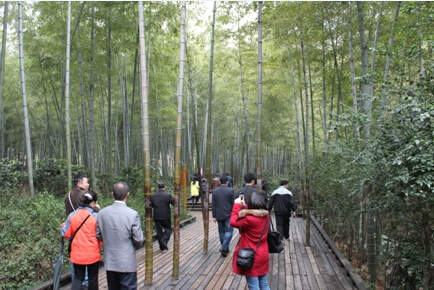 司能經(jīng)銷商&bull;供應(yīng)商游覽南山竹海