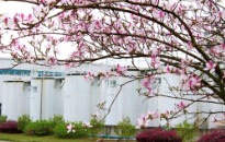 龍城四月天，最美在司能